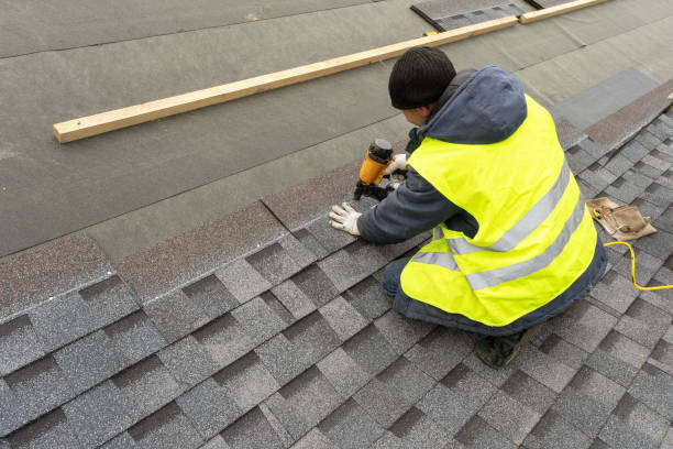 Best Roof Gutter Cleaning  in New Johnsonville, TN
